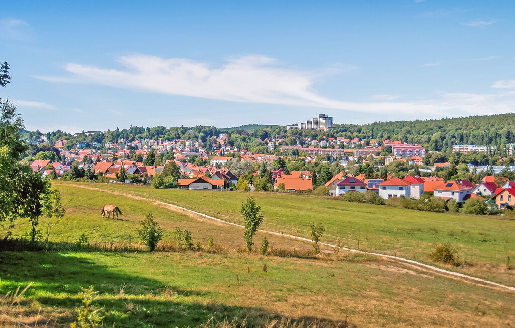 Apartment - Friedrichroda , Germany - DZV441 18