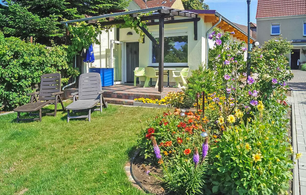 Ferienhaeuser - Lychen , Deutschland - DZV459 2