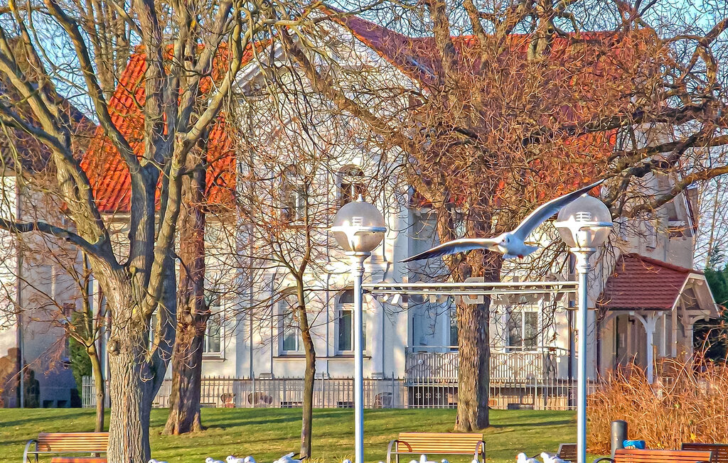 Semesterlägenhet - Waren (Müritz) , Tyskland - DZV472 24