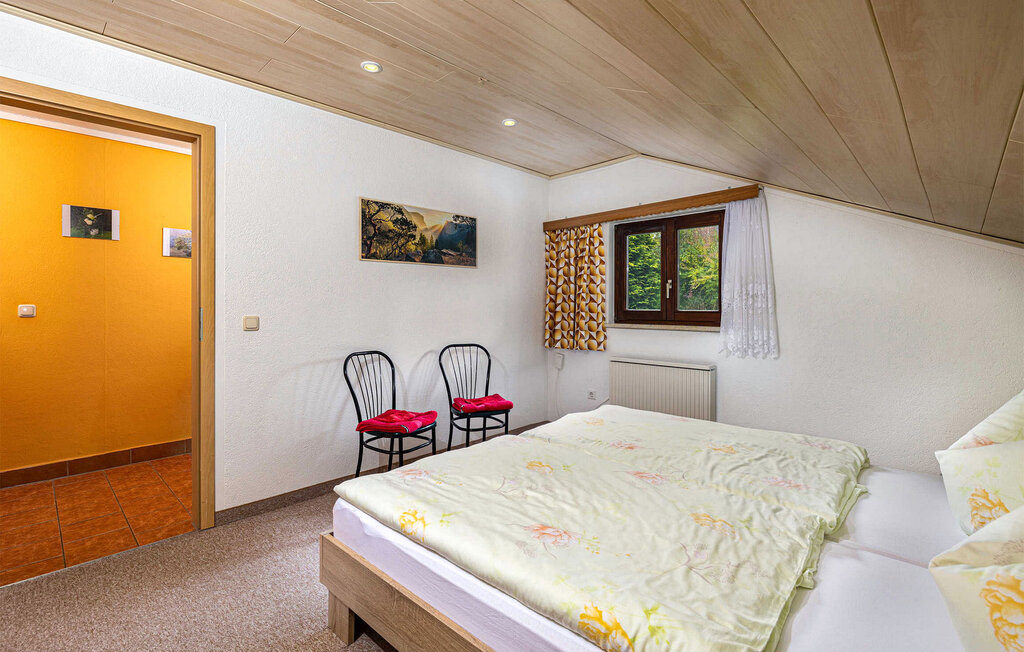 Kuća-za-odmor - Raschau-Markersbach , Njemačka - DZV479 15