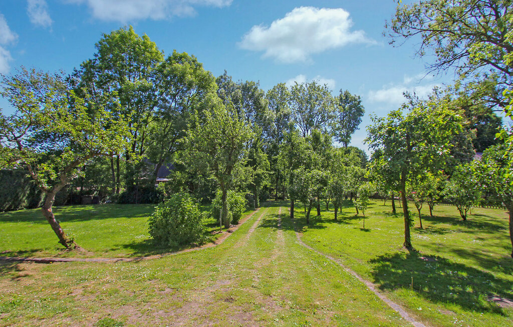 Kuća-za-odmor - Bartelshagen II , Njemačka - DZV523 14