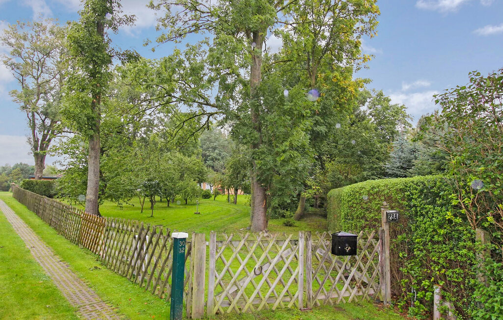 Kuća-za-odmor - Bartelshagen II , Njemačka - DZV523 2