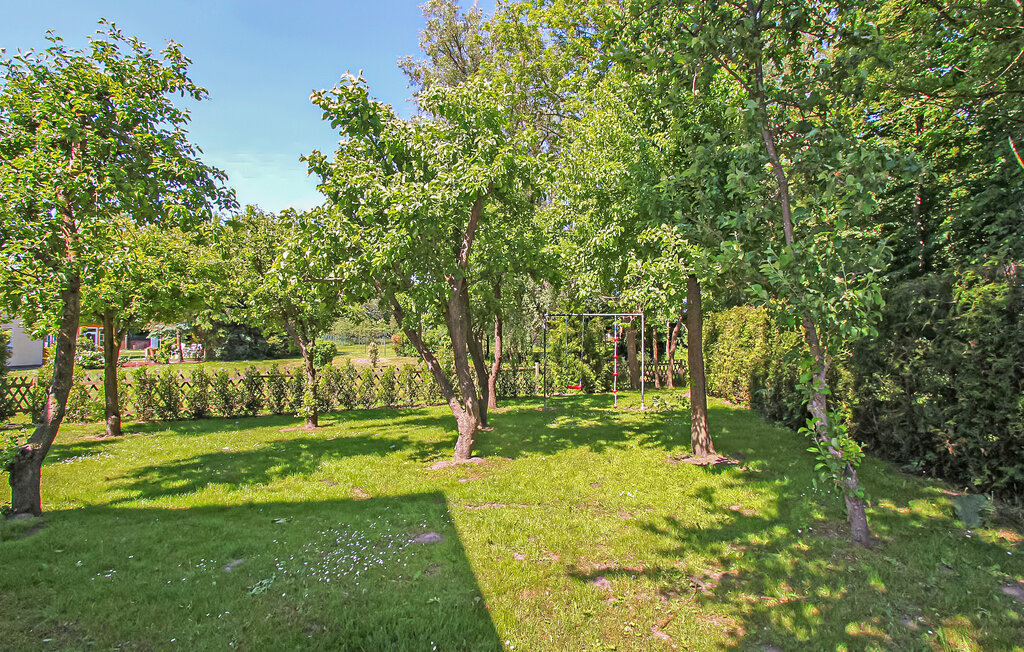 Kuća-za-odmor - Bartelshagen II , Njemačka - DZV523 9