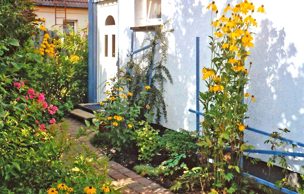 Feriehuse - Fuhlendorf , Tyskland - DZV531 6