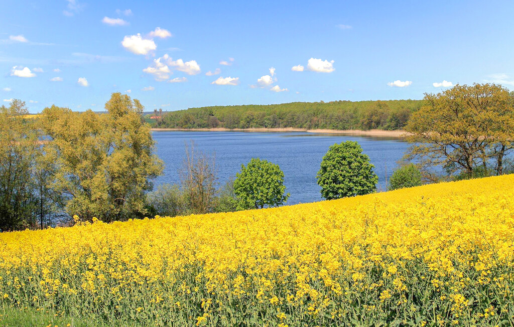 Ferienhaus - Funkenhagen , Deutschland - DZV533 16
