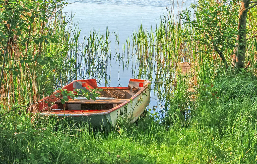 Ferienhaus - Funkenhagen , Deutschland - DZV533 17