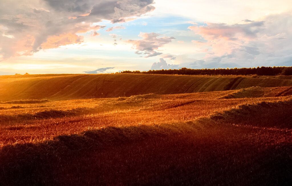 Ferienhaus - Funkenhagen , Deutschland - DZV533 20