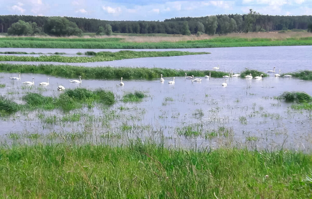 Ferienwohnung - Angermünde OT Crussow , Deutschland - DZV534 14