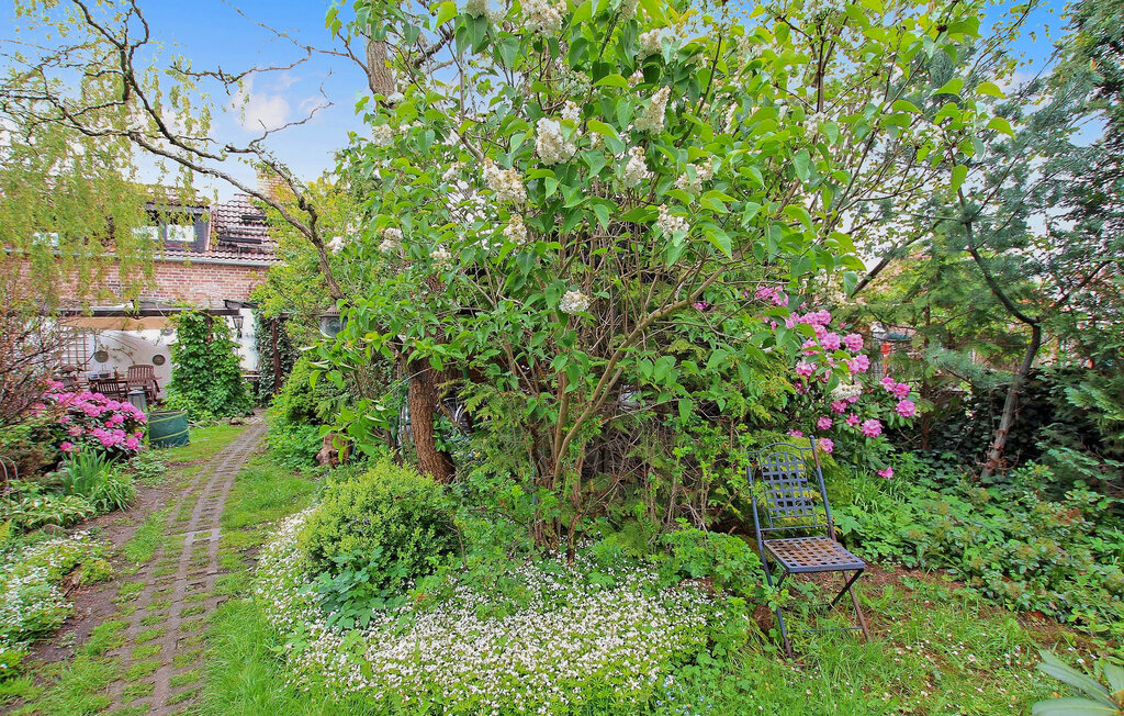 Ferienwohnung - Meiersberg , Deutschland - DZV543 9