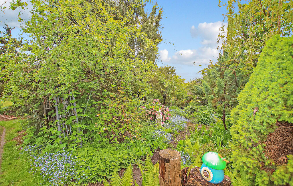 Ferienwohnung - Meiersberg , Deutschland - DZV543 12