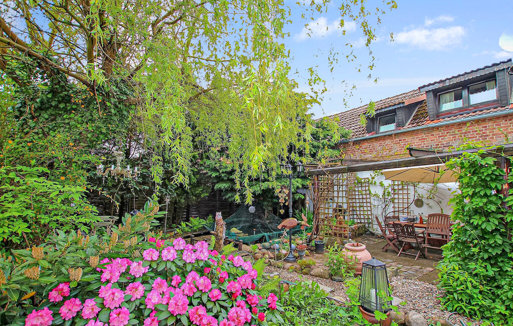 Ferienwohnung - Meiersberg , Deutschland - DZV543 7