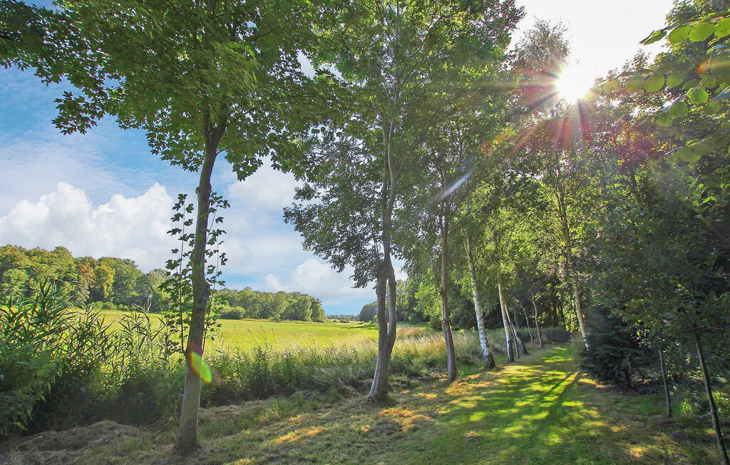 
Holiday rental - Groß Plasten , Germany - DZV573 15