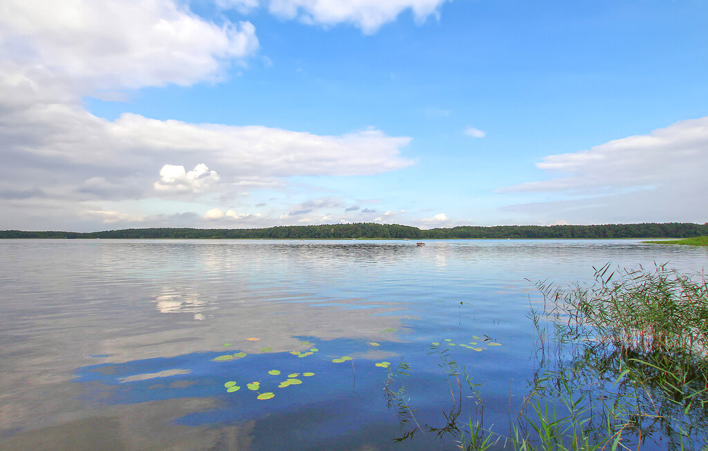 Domy wakacyjne - Mirow OT Starsow , Niemcy - DZV586 14