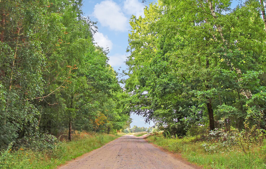 Domy wakacyjne - Mirow OT Starsow , Niemcy - DZV586 16