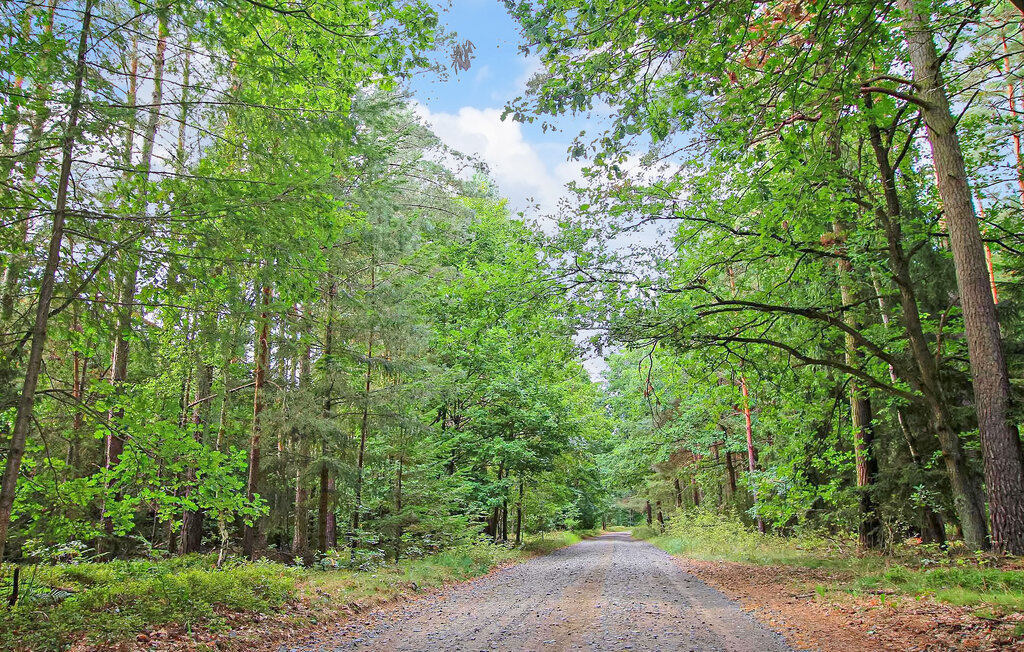 Domy wakacyjne - Mirow OT Starsow , Niemcy - DZV586 18