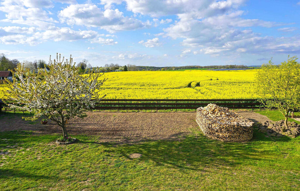 Semesterlägenhet - Woldegk , Tyskland - DZV598 27
