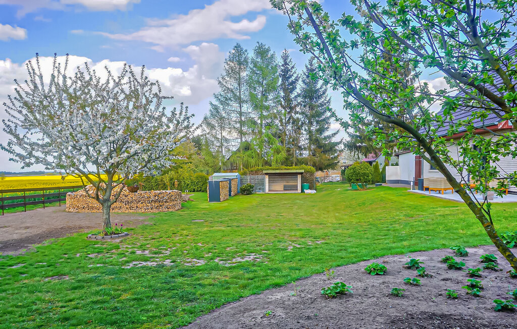 Semesterlägenhet - Woldegk , Tyskland - DZV598 13