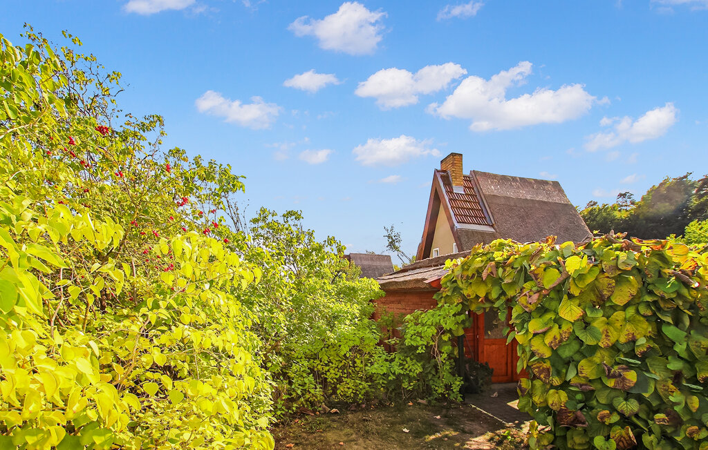 Ferienhaus - Wustrow OT Neu Canow , Deutschland - DZV601 8