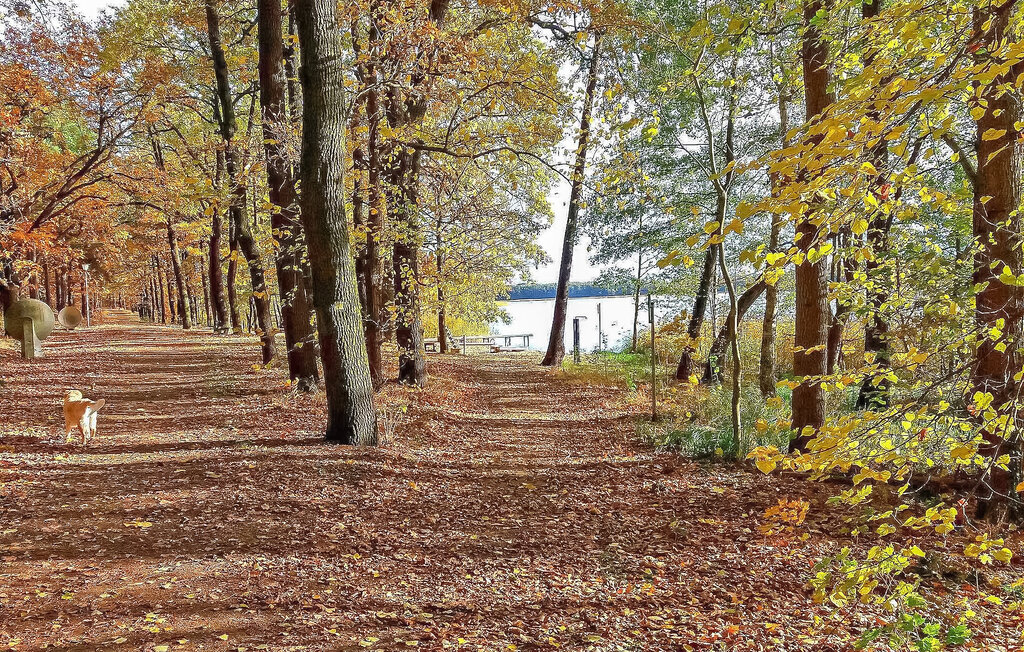 Domy wakacyjne - Märkische Heide OT Groß Leuthe , Niemcy - DZV618 17