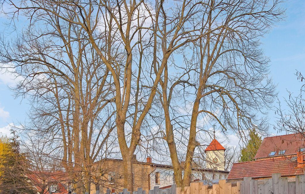 Ferieleilighet - Rheinsberg OT Flecken Zechlin , Tyskland - DZV628 13