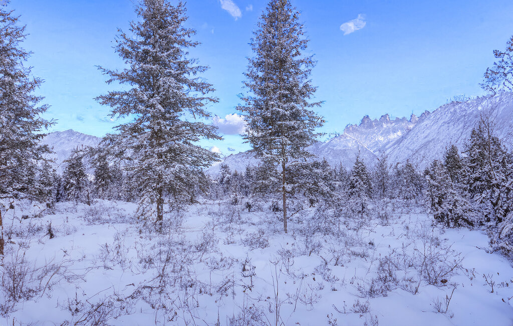Ferienhaeuser - Jabel OT Loppin , Deutschland - DZV645 9