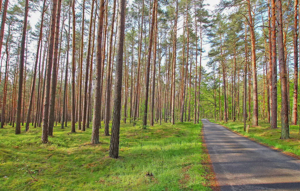 Ferienwohnung - Torgelow , Deutschland - DZV651 14