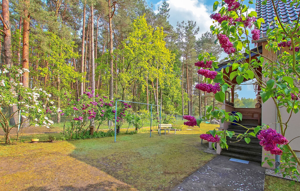 Ferienwohnung - Torgelow , Deutschland - DZV651 8