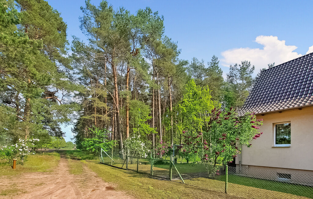 Ferienwohnung - Torgelow , Deutschland - DZV651 2