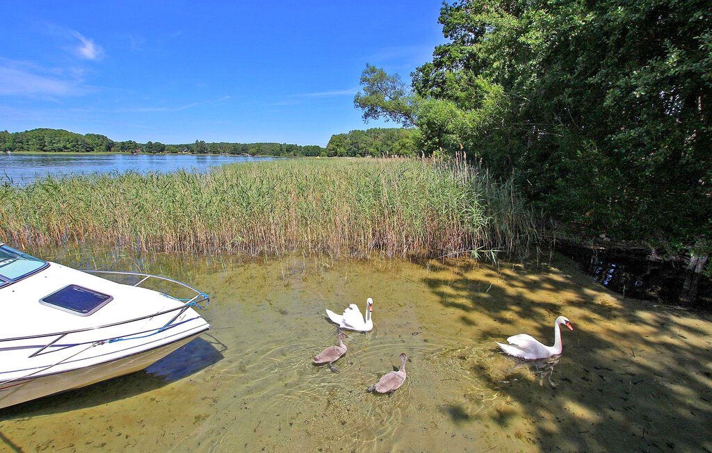 Kuća-za-odmor - Rheinsberg OT Zechlinerhütte , Njemačka - DZV656 12