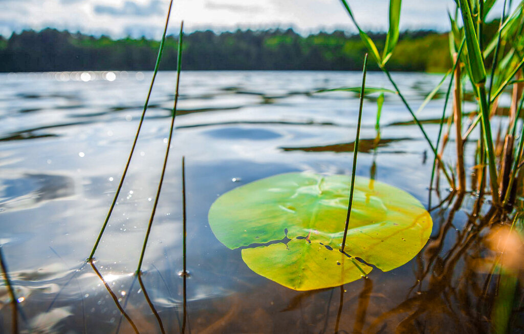 Ferienwohnung - Rheinsberg OT Kagar , Deutschland - DZV665 20