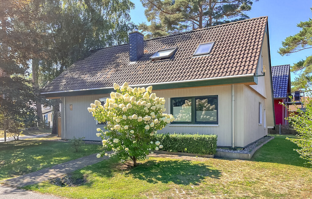 Ferienwohnung - Bodstedt , Deutschland - DZV668 1