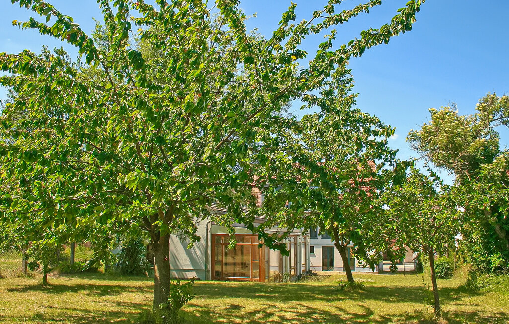 Semesterlägenhet - Mirow , Tyskland - DZV698 7