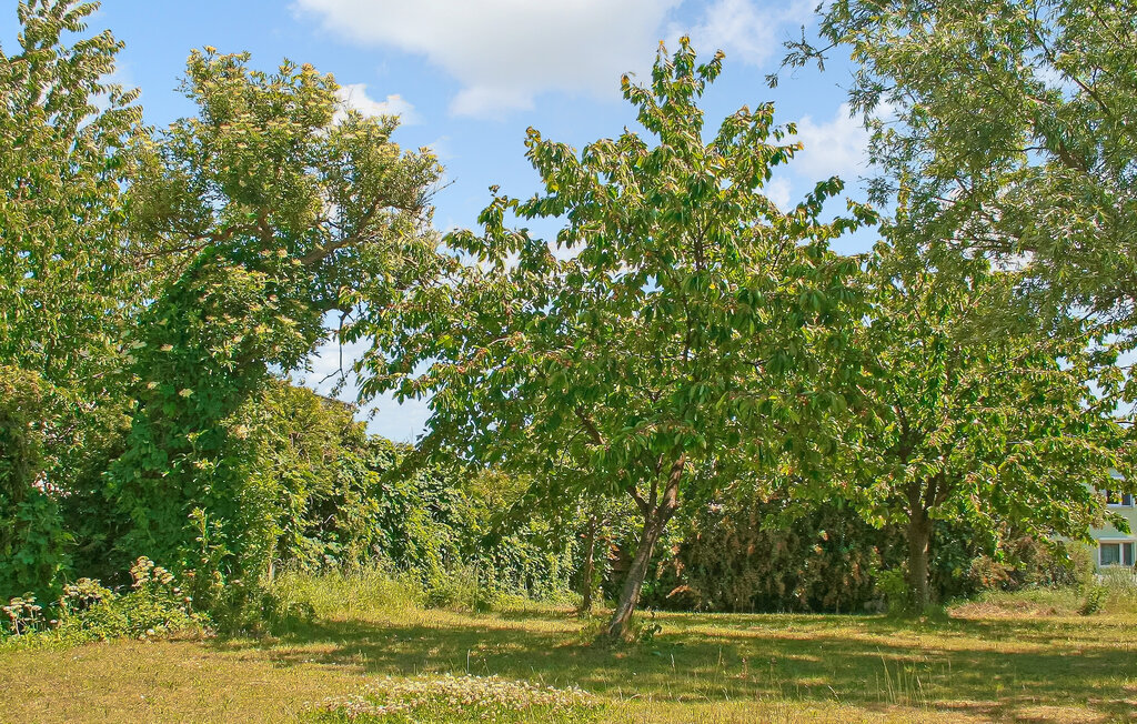 Semesterlägenhet - Mirow , Tyskland - DZV698 2