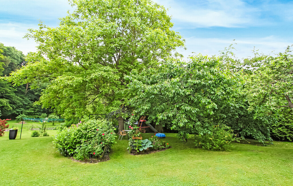 Ferienwohnung - Torgelow am See , Deutschland - DZV737 12
