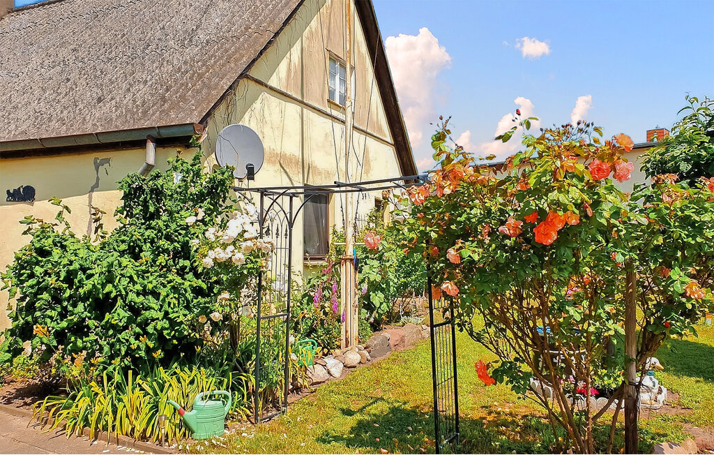 Feriehus - Reetzow/Usedom , Tyskland - DZV745 10