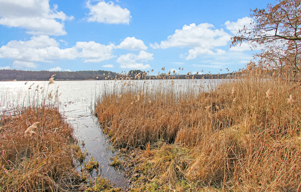 Feriehuse - Rheinsberg OT Kagar , Tyskland - DZV767 30