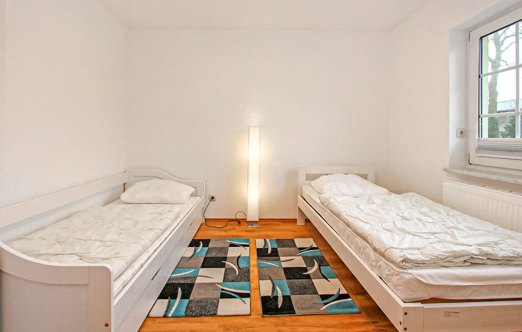 Ferienhaus - Saal OT Bartelshagen II , Deutschland - DZV769 16