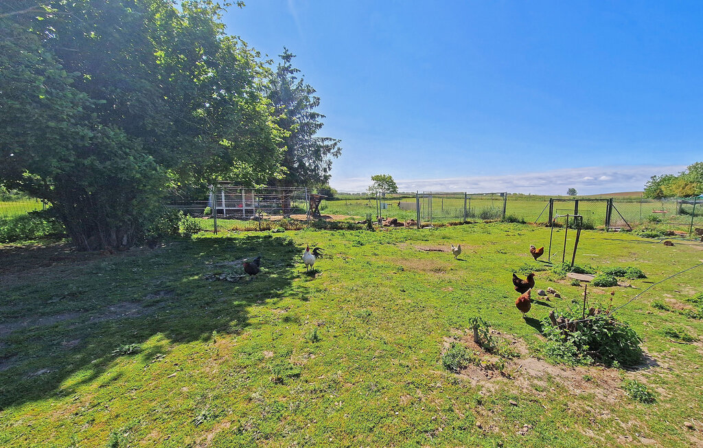 Domy wakacyjne - Blankensee OT Watzkendorf , Niemcy - DZV905 21