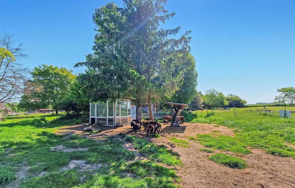 Domy wakacyjne - Blankensee OT Watzkendorf , Niemcy - DZV905 12