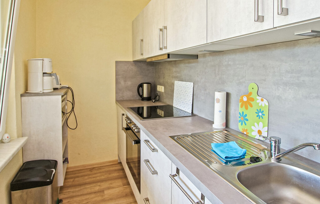 Domy wakacyjne - Blankensee OT Wanzka , Niemcy - DZV907 8