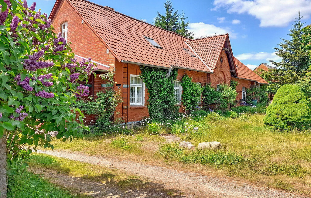 Apartment - Klocksin , Germany - DZV896 1