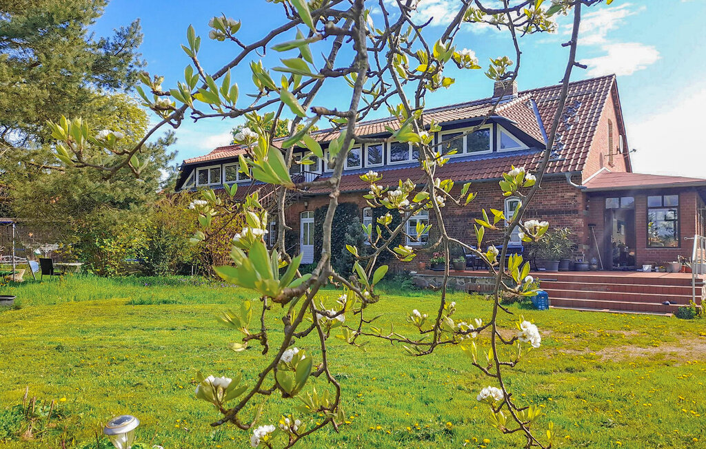 Apartment - Klocksin , Germany - DZV896 8