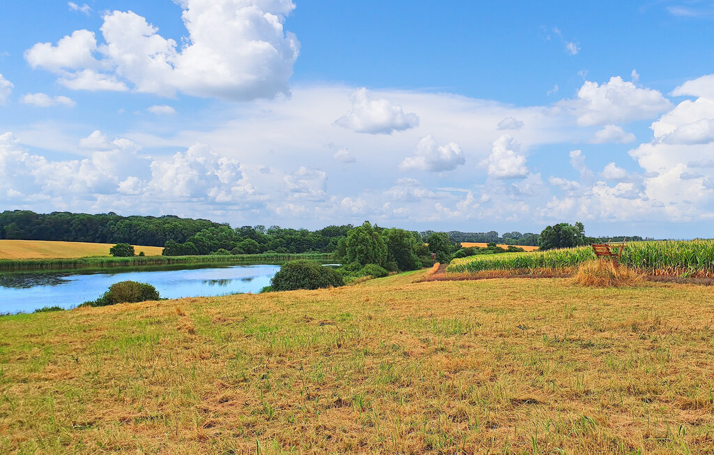 Ferienwohnung - Poseritz , Deutschland - DZV806 17