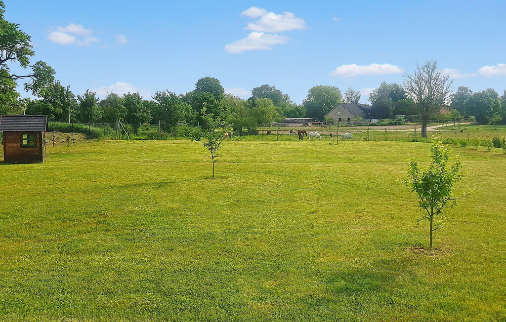 Ferienhaus - Grünow OT Ollendorf , Deutschland - DZV809 20