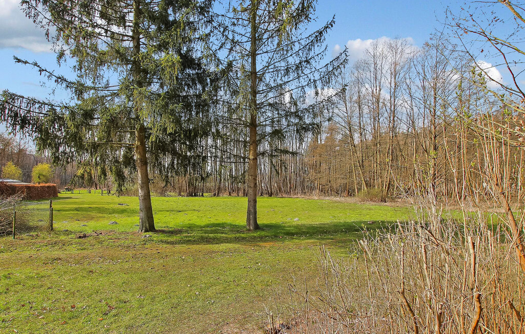 Semesterhus - Rheinsberg OT Warenthin , Tyskland - DZV816 10