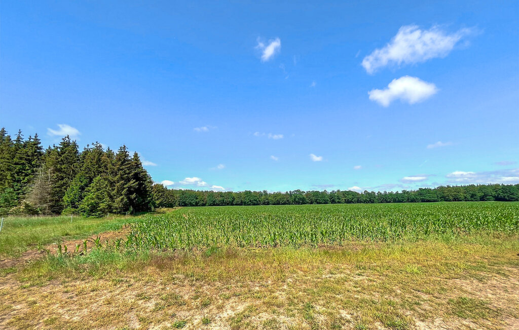 Ferienhaus - Buddenhagen bei Wolgast , Deutschland - DZV837 16