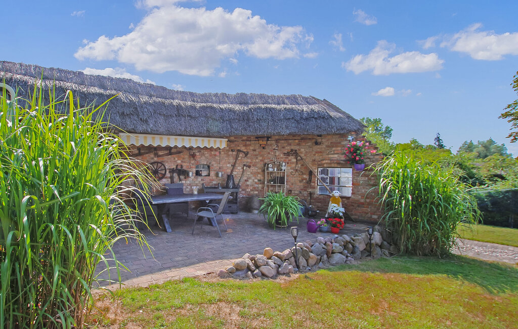 Ferienwohnung - Meesiger , Deutschland - DZV849 1