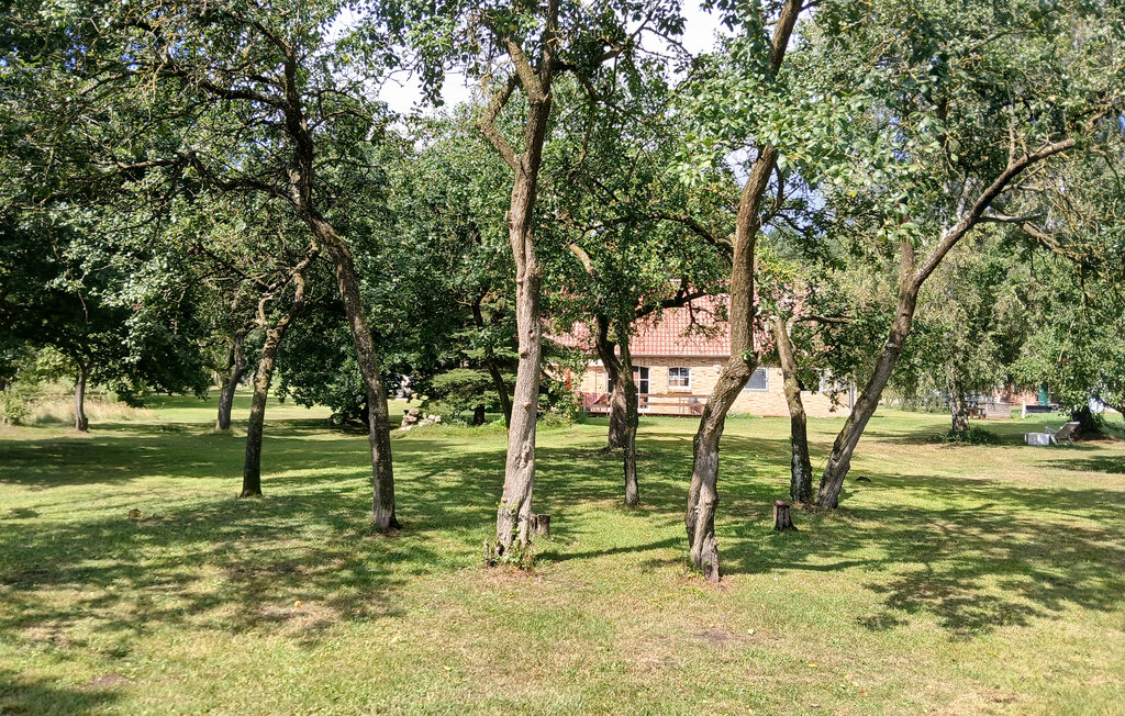 Feriehuse - Dobbin , Tyskland - DZV935 6