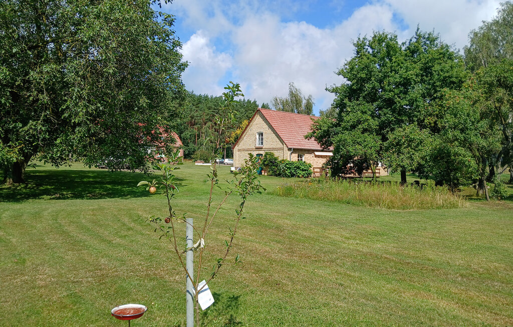 Feriehuse - Dobbin , Tyskland - DZV935 7