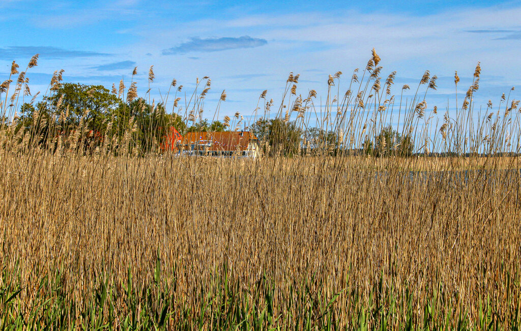 Semesterhus - Born auf dem Darß , Tyskland - DZV291 15